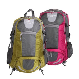 ���� ���賶 WS8927B