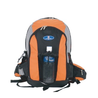 ���� ���賶 WS874