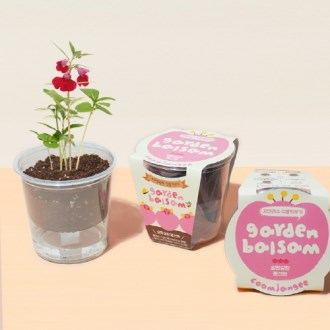 ������� �Ĺ�Ű���-����ȭ